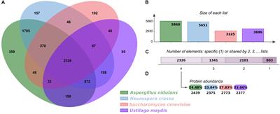 Identifying Genes Devoted to the Cell Death Process in the Gene Regulatory Network of Ustilago maydis